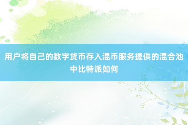 用户将自己的数字货币存入混币服务提供的混合池中比特派如何