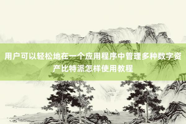 用户可以轻松地在一个应用程序中管理多种数字资产比特派怎样使用教程