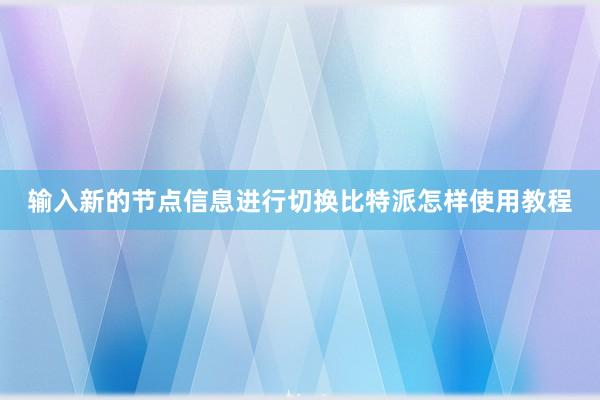 输入新的节点信息进行切换比特派怎样使用教程