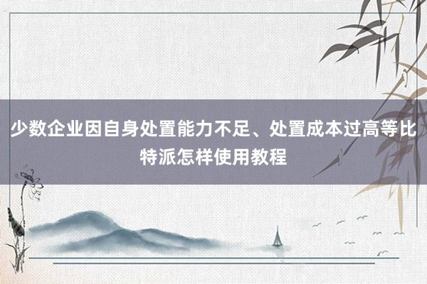 少数企业因自身处置能力不足、处置成本过高等比特派怎样使用教程