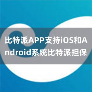 比特派APP支持iOS和Android系统比特派担保