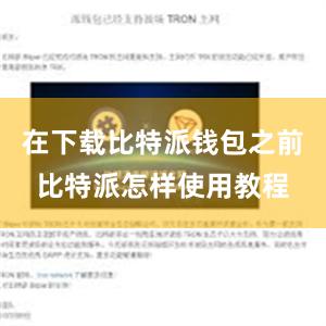 在下载比特派钱包之前比特派怎样使用教程