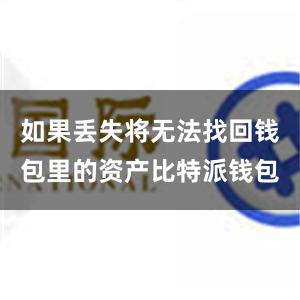 如果丢失将无法找回钱包里的资产比特派钱包