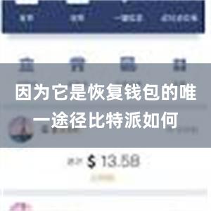 因为它是恢复钱包的唯一途径比特派如何