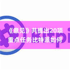 《意见》共提出20项重点任务比特派如何