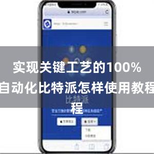 实现关键工艺的100%自动化比特派怎样使用教程