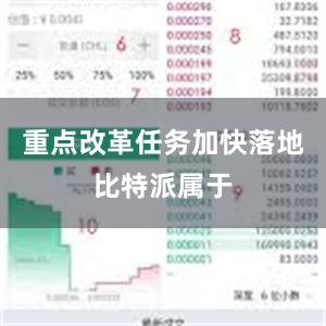 重点改革任务加快落地比特派属于