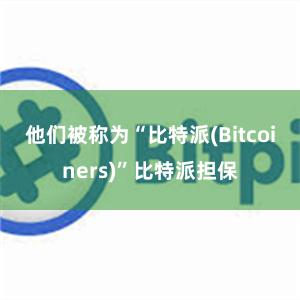 他们被称为“比特派(Bitcoiners)”比特派担保