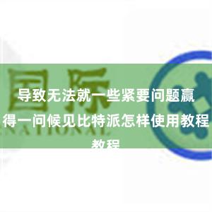 导致无法就一些紧要问题赢得一问候见比特派怎样使用教程