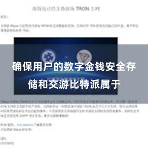 确保用户的数字金钱安全存储和交游比特派属于