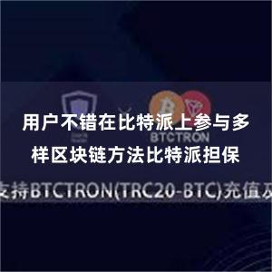 用户不错在比特派上参与多样区块链方法比特派担保